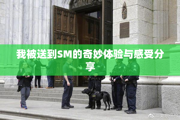 我被送到SM的奇妙体验与感受分享