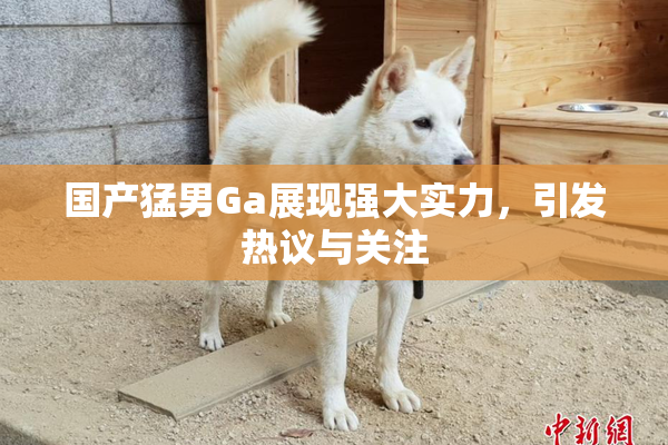 国产猛男Ga展现强大实力，引发热议与关注