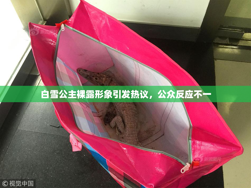 白雪公主裸露形象引发热议，公众反应不一