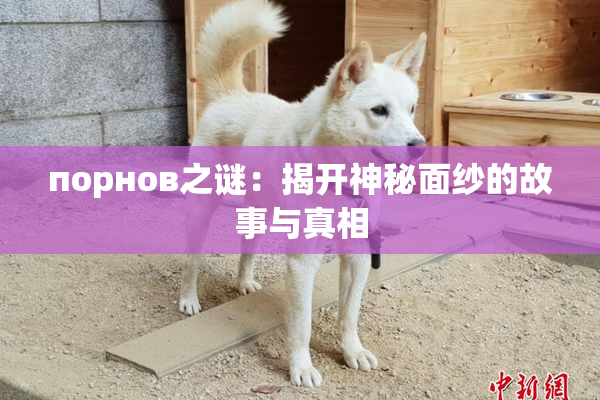 порнов之谜：揭开神秘面纱的故事与真相