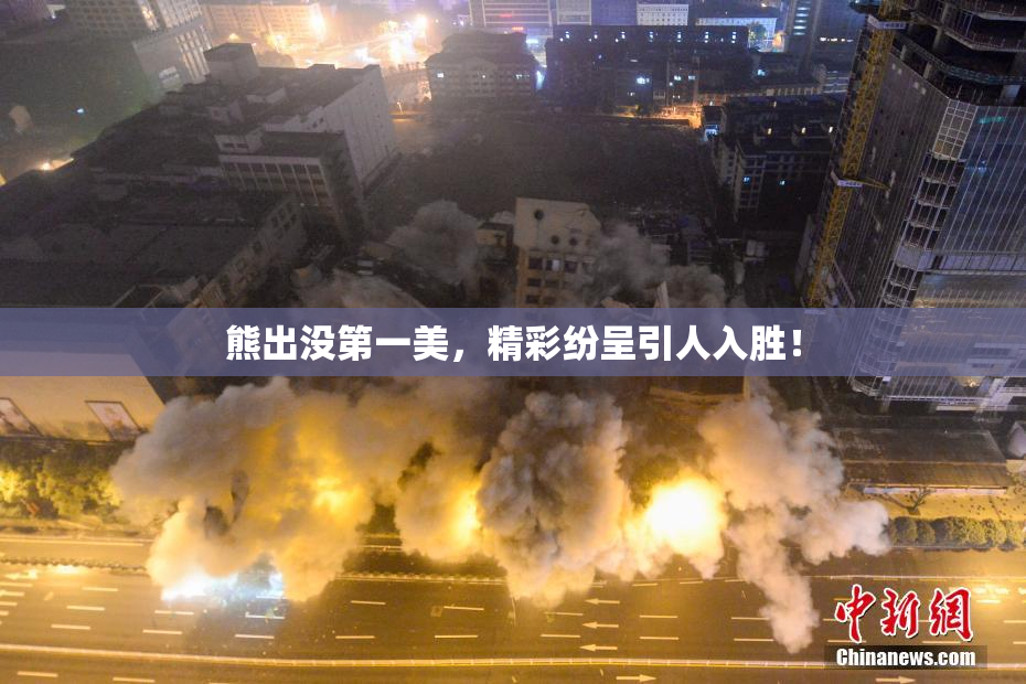 熊出没第一美，精彩纷呈引人入胜！