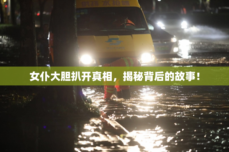 女仆大胆扒开真相，揭秘背后的故事！