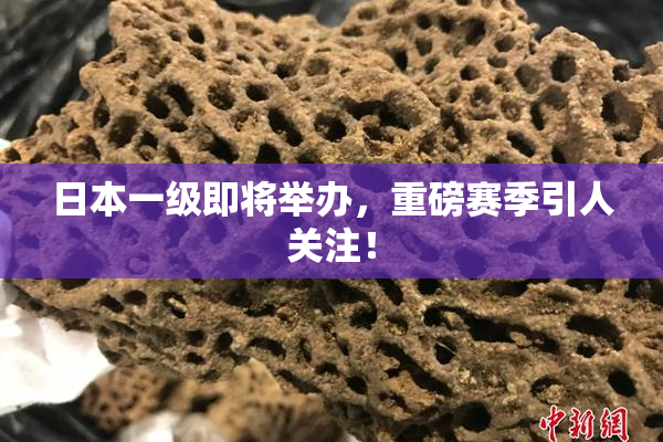 日本一级即将举办，重磅赛季引人关注！