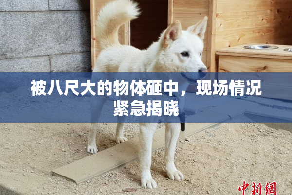 被八尺大的物体砸中，现场情况紧急揭晓