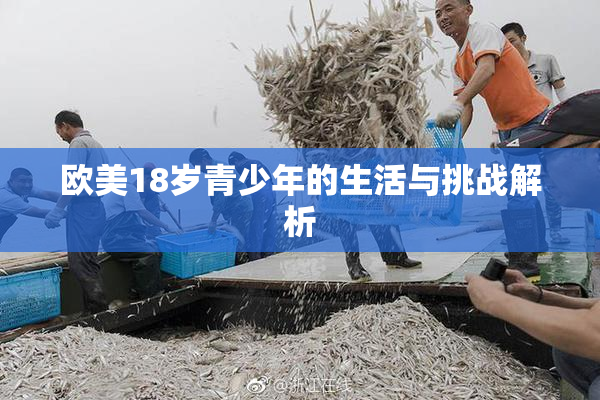 欧美18岁青少年的生活与挑战解析