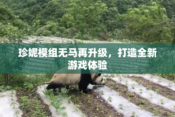 珍妮模组无马再升级，打造全新游戏体验