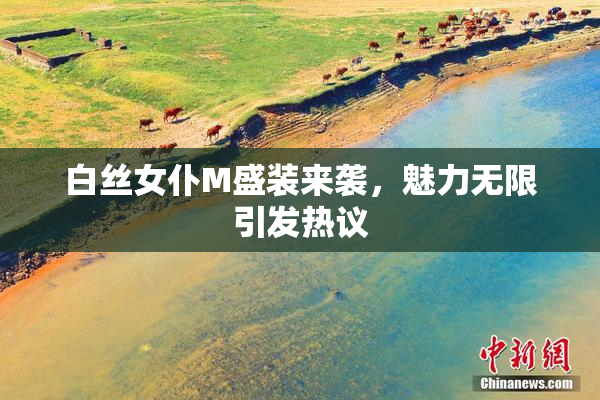白丝女仆M盛装来袭，魅力无限引发热议