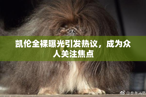 凯伦全裸曝光引发热议，成为众人关注焦点