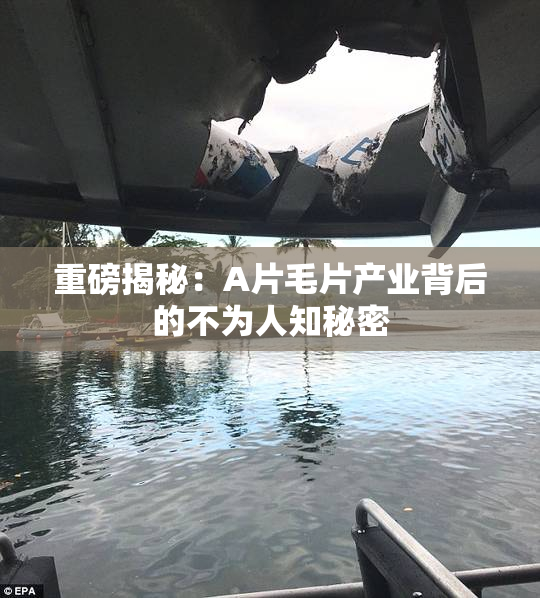 重磅揭秘：A片毛片产业背后的不为人知秘密