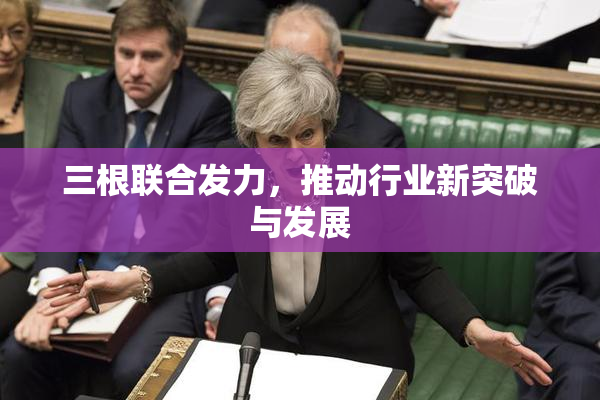 三根联合发力，推动行业新突破与发展