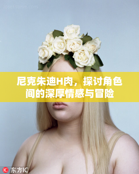 尼克朱迪H肉，探讨角色间的深厚情感与冒险