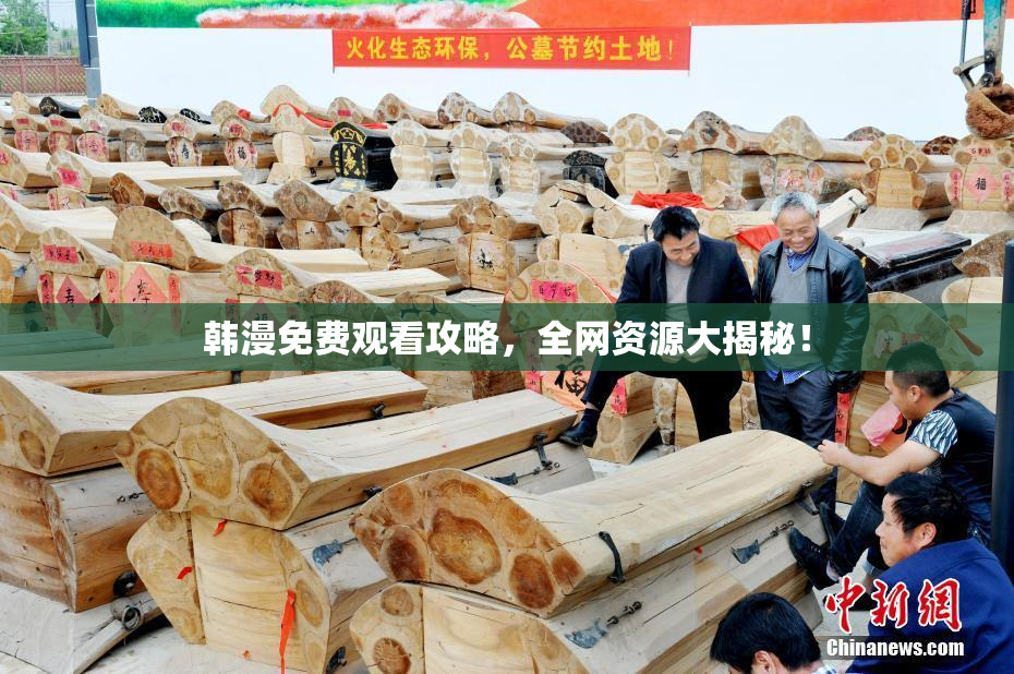 韩漫免费观看攻略，全网资源大揭秘！
