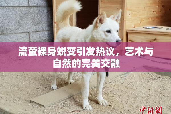 流萤裸身蜕变引发热议，艺术与自然的完美交融