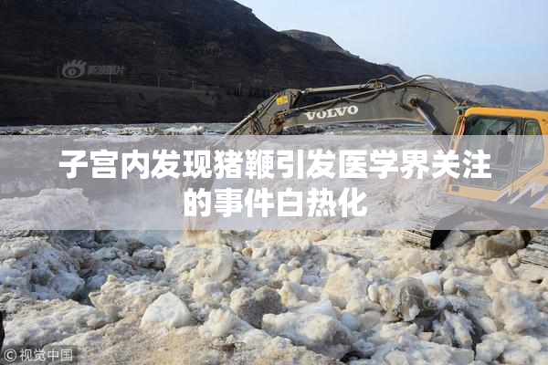 子宫内发现猪鞭引发医学界关注的事件白热化