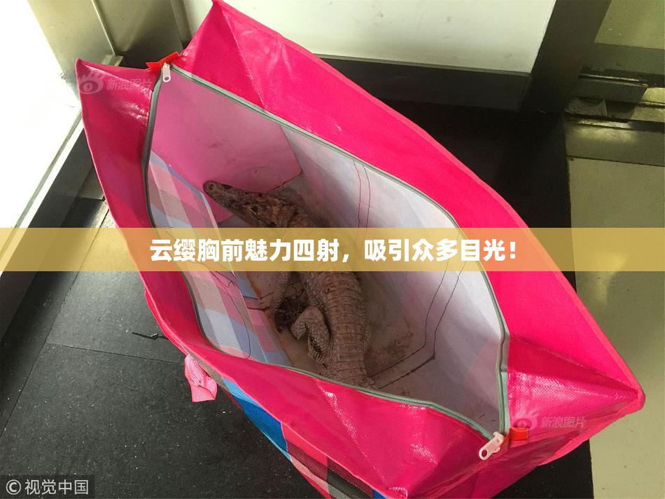 云缨胸前魅力四射，吸引众多目光！