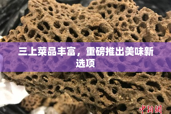 三上菜品丰富，重磅推出美味新选项
