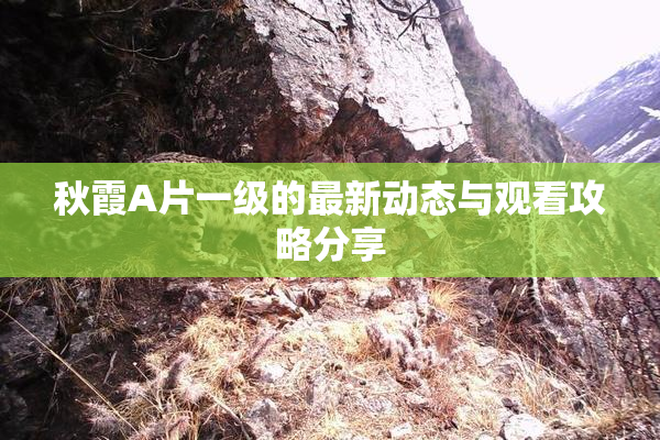 秋霞A片一级的最新动态与观看攻略分享