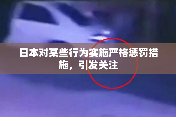 日本对某些行为实施严格惩罚措施，引发关注