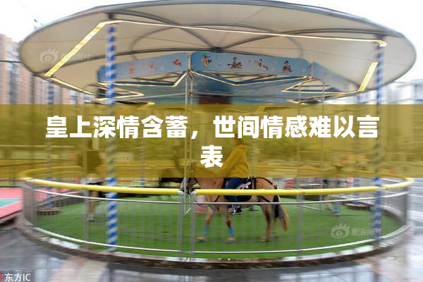 皇上深情含蓄，世间情感难以言表