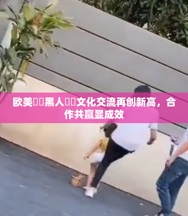 欧美❌‌黑人❌‌文化交流再创新高，合作共赢显成效