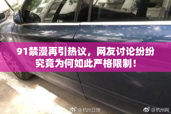 91禁漫再引热议，网友讨论纷纷究竟为何如此严格限制！