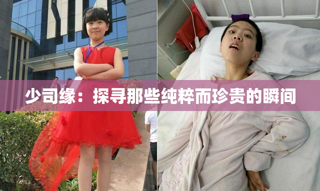 少司缘：探寻那些纯粹而珍贵的瞬间