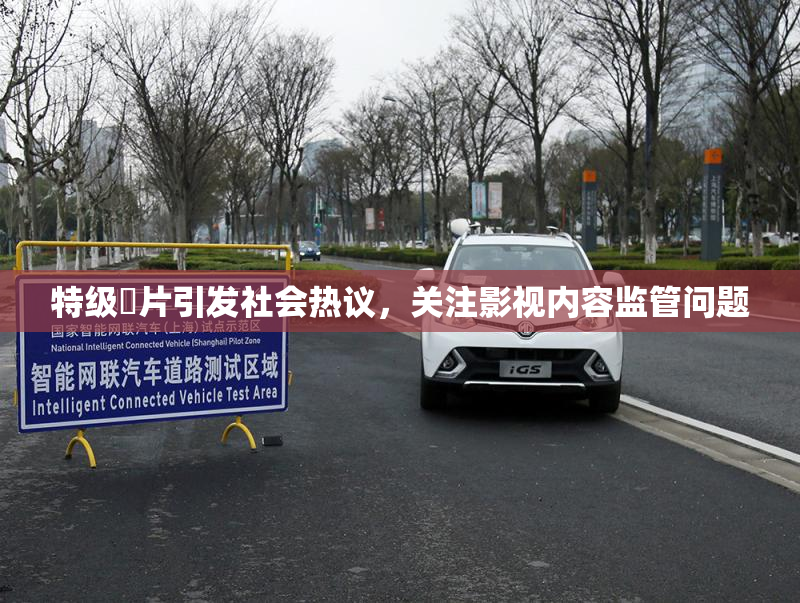 特级婬片引发社会热议，关注影视内容监管问题