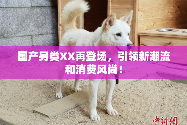 国产另类XX再登场，引领新潮流和消费风尚！