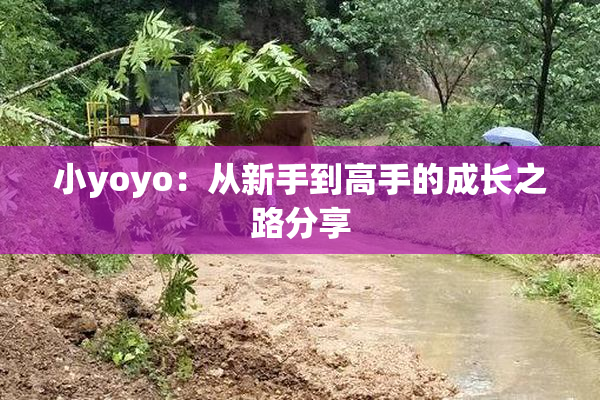 小yoyo：从新手到高手的成长之路分享