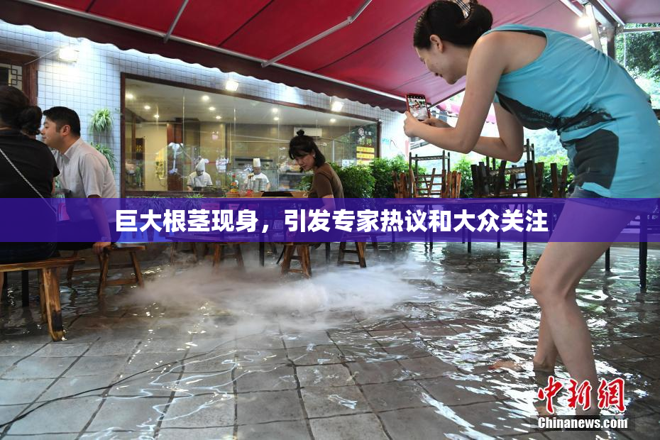 巨大根茎现身，引发专家热议和大众关注