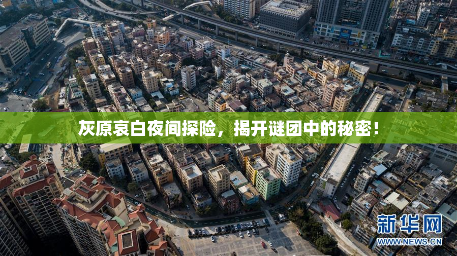 灰原哀白夜间探险，揭开谜团中的秘密！