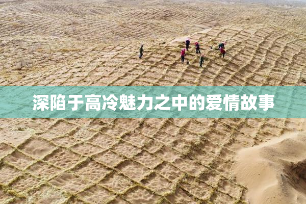 深陷于高冷魅力之中的爱情故事