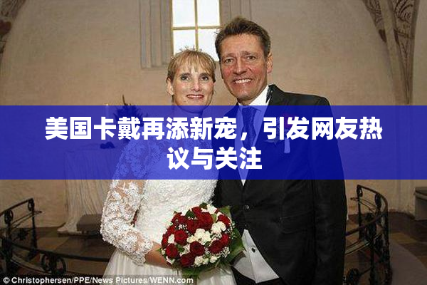 美国卡戴再添新宠，引发网友热议与关注