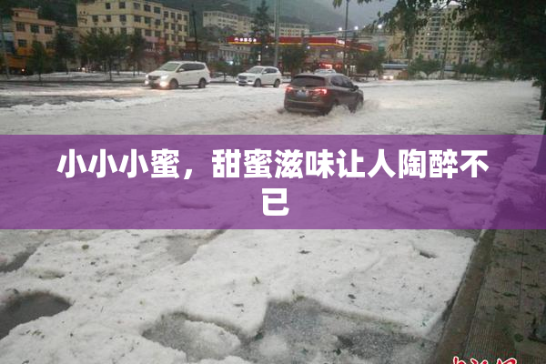 小小小蜜，甜蜜滋味让人陶醉不已