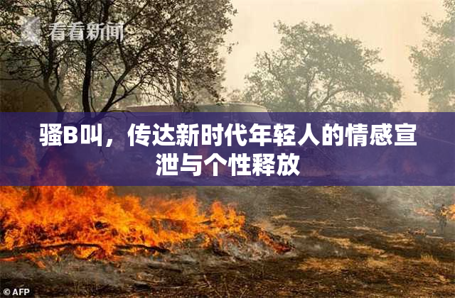骚B叫，传达新时代年轻人的情感宣泄与个性释放