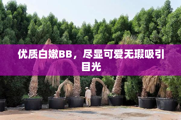 优质白嫩BB，尽显可爱无瑕吸引目光