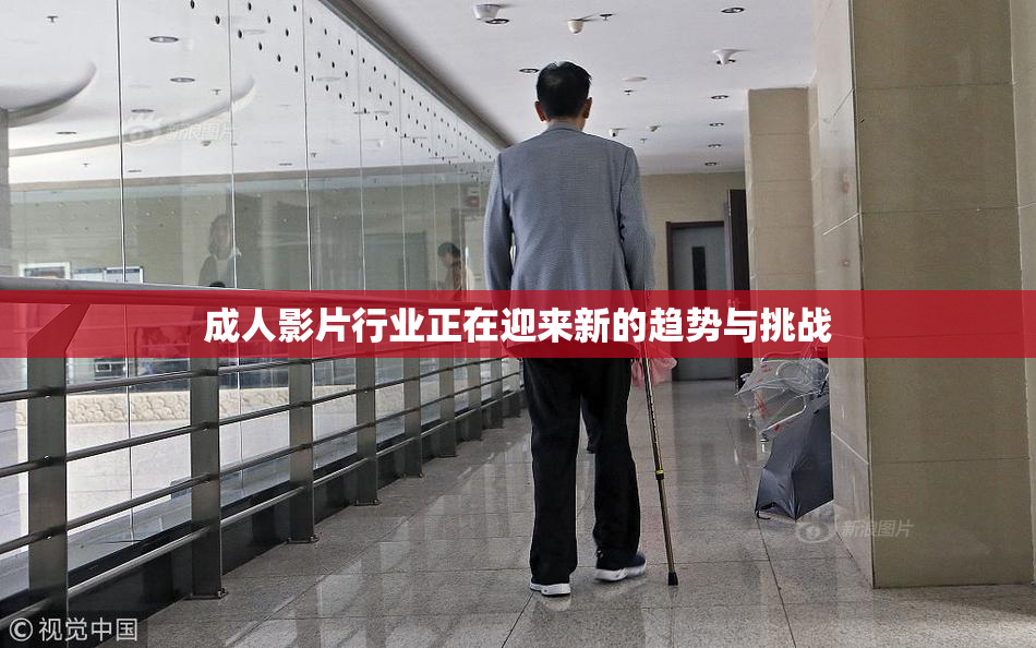 成人影片行业正在迎来新的趋势与挑战