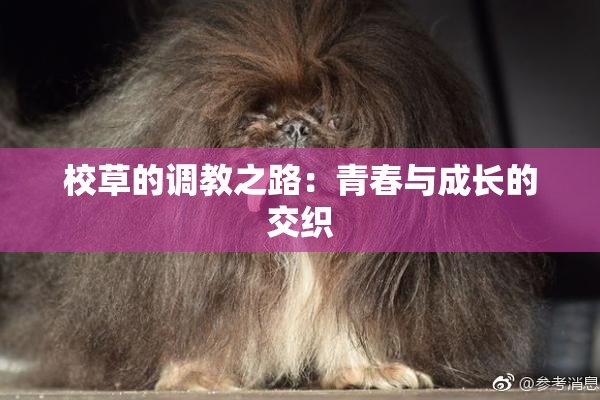校草的调教之路：青春与成长的交织
