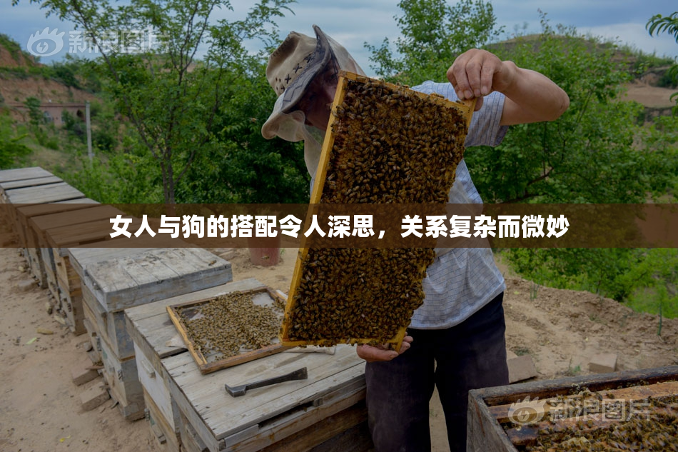 女人与狗的搭配令人深思，关系复杂而微妙