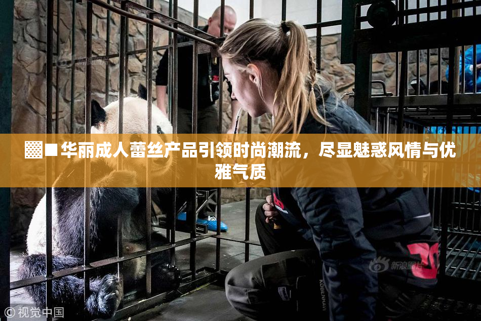 ▓■华丽成人蕾丝产品引领时尚潮流，尽显魅惑风情与优雅气质