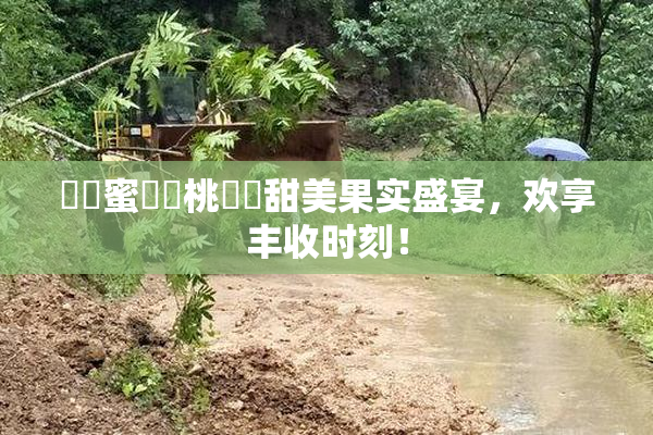 ❌‌蜜❌‌桃❌‌甜美果实盛宴，欢享丰收时刻！