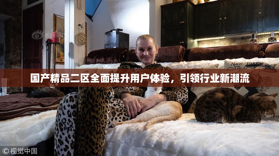 国产精品二区全面提升用户体验，引领行业新潮流