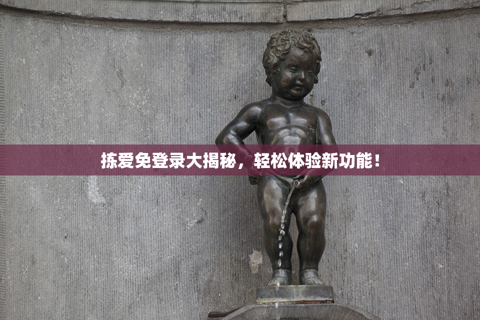 拣爱免登录大揭秘，轻松体验新功能！