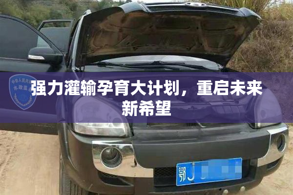 强力灌输孕育大计划，重启未来新希望