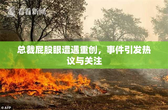 总裁屁股眼遭遇重创，事件引发热议与关注