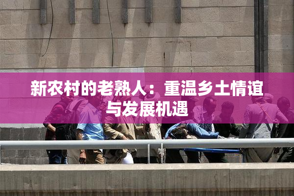 新农村的老熟人：重温乡土情谊与发展机遇
