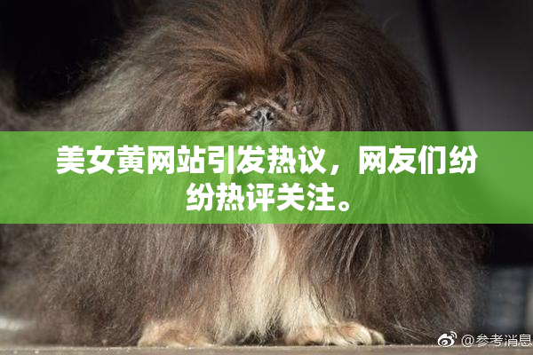 美女黄网站引发热议，网友们纷纷热评关注。