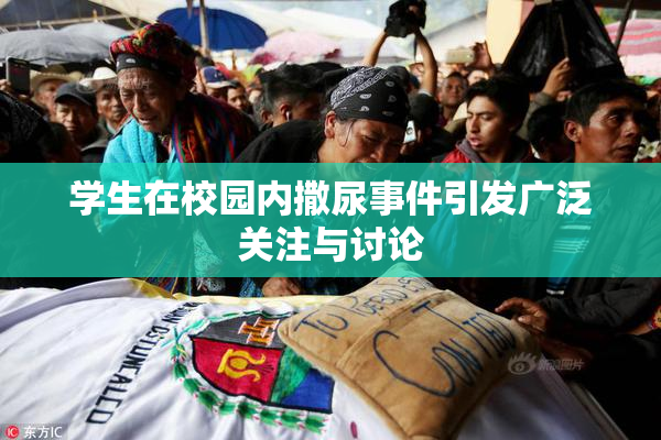 学生在校园内撒尿事件引发广泛关注与讨论
