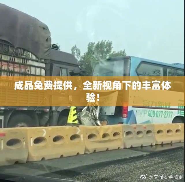 成品免费提供，全新视角下的丰富体验！