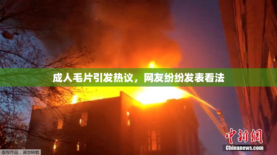 成人毛片引发热议，网友纷纷发表看法